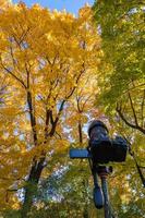 câmera digital moderna em um tripé apontada para a árvore de bordo amarelo do outono foto