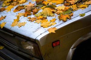 folhas de bordo caídas no capô velho do carro batido - feche o fundo do outono com foco seletivo foto