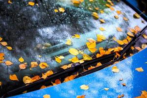 folhas de bétula caídas no capô e pára-brisas do carro azul ultramarino - feche o fundo de foco seletivo do outono foto