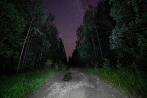 noite negra assustadora na floresta de verão, estrada de terra e céu estrelado foto