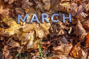 a palavra marcha colocada com letras de metal prateado no chão folhas de bordo secas foto