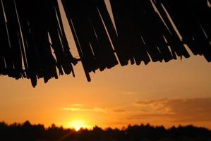 sol na praia com silhueta de guarda-sóis foto