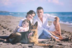 família feliz brincando com cachorro na praia foto