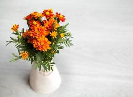 flores de malmequeres em um vaso em fundo cinza foto