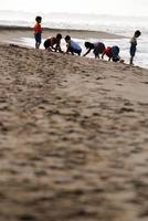 diversão na praia foto