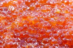 caviar vermelho de fundo foto