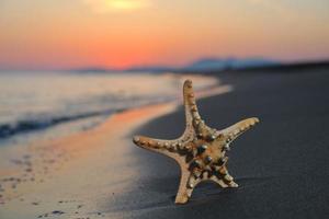 verão praia pôr do sol com estrela na praia foto