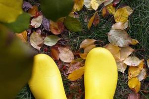 botas de borracha amarela na grama verde com folhas de outono coloridas secas, vista superior. foto