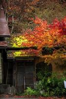 cena pitoresca de outono no japão foto