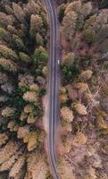 vista aérea de uma estrada na floresta foto