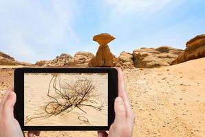turista tirando foto de saxaul no deserto de wadi rum