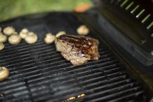 carne no piquenique. cozinhar ao ar livre. churrasco no verão. grelha quente na cozinha. foto