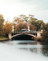 veículos em uma ponte foto