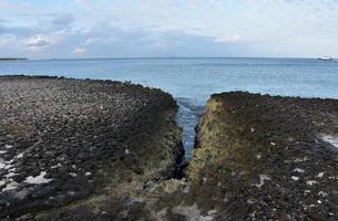 costa rochosa de lava ao longo de aruba foto