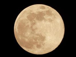 close-up de uma lua amarela foto