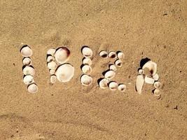 conchas na areia foto