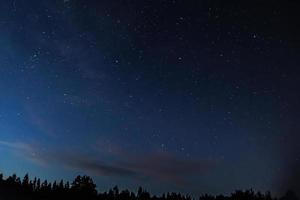 céu estrelado à noite sobre a floresta. silhuetas de árvores contra o pano de fundo das estrelas. foto