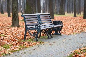 banco vazio no parque da cidade de outono, paisagem sombria de manhã de outono foto