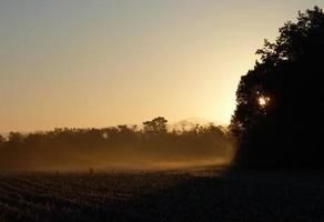 névoa matinal ao nascer do sol foto