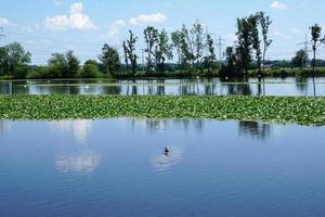 rio danúbio em ulm foto