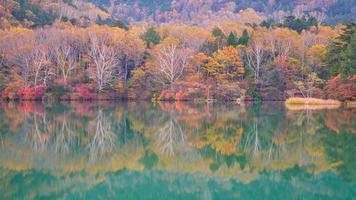 árvores coloridas e lagoa verde foto