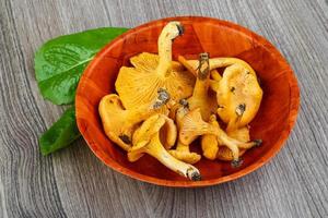 chanterelle em uma tigela com fundo de madeira foto