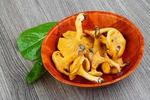 chanterelle em uma tigela com fundo de madeira foto