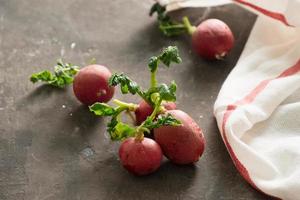 rabanete vermelho colheita de verão. cultivo de vegetais orgânicos. rabanete de jardim suculento fresco cru em placas escuras prontas para comer. foto