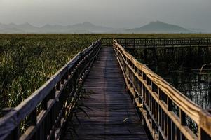 ponte de madeira no lago de lótus sob céu nublado no parque nacional de khao sam roi yod, tailândia. foto