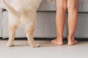 criança e cachorro ficam no chão perto do sofá em casa. close-up criança pés descalços e patas traseiras cachorrinho foto