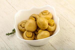 champignon marinado na madeira foto