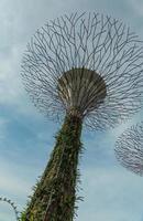 singapore, 11 de maio de 2022 - resort integrado marina bay sands em 11 de maio de 2014 em singapore. foi inaugurado em 2011 e possui o cassino autônomo mais caro do mundo. foto