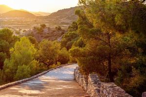 foto de uma estrada descendo ladeira cercada por árvores iluminadas pelos raios do sol poente