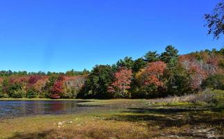 paisagem com folhagem de outono ao redor de um lago foto