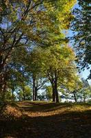 linda trilha de outono em hignham no parque final do mundo foto