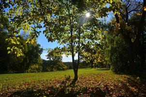 mundos terminam no campo de outono de hingham massachusetts foto