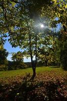 paisagem de outono do sudeste de massachuetts no parque do fim do mundo foto