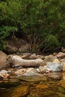 big crystal creek qld austrália foto