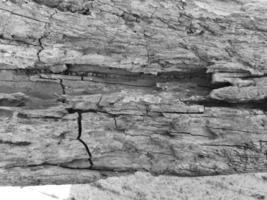 foto da textura áspera de uma madeira com algumas rachaduras.