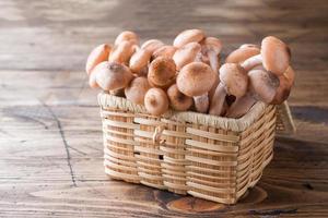 cogumelos melada crua em uma cesta de palha em uma mesa de madeira. foto