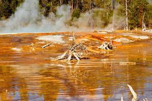 tapete bacteriano na bacia do gêiser inferior no parque nacional de yellowstone foto