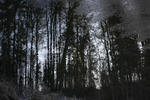 a superfície da água no rio após a geada. luz do amanhecer em uma paisagem natural. um pequeno rio na floresta. foto