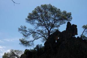 costa brava no verão, sol, mar e muita luz foto