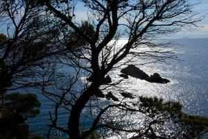 costa com rochas e mar azul cheio de árvores que chegam quase até o mar. foto