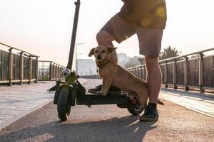 feche os pés de um homem de tênis fez parar uma perna com seu cachorro na scooter elétrica nas ruas ou no parque. foco seletivo nos pés. foto