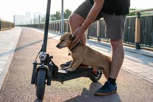 os pés de um homem de tênis fizeram parar uma perna com seu pequeno cachorro fofo na scooter elétrica nas ruas ou estacionar à luz do sol. foto