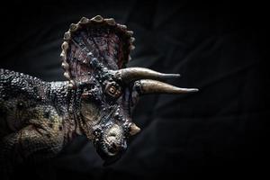 dinossauro, triceratops no escuro foto