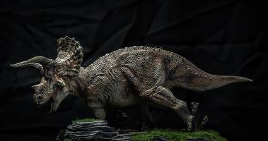 dinossauro, triceratops no escuro foto