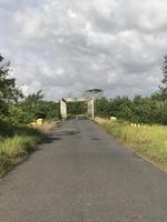 a vista da estrada com uma bela grama que se estende ao longo da beira da estrada e nuvens brancas cobrindo foto