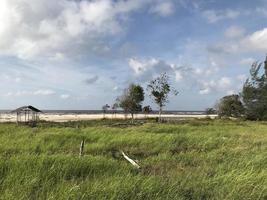 a vista da estrada com uma bela grama que se estende ao longo da beira da estrada e nuvens brancas cobrindo foto